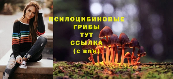 спайс Абдулино