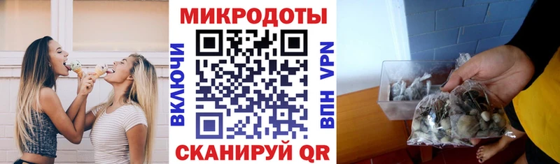 дарк нет какой сайт  где найти   Серпухов  Галлюциногенные грибы Psilocybe 