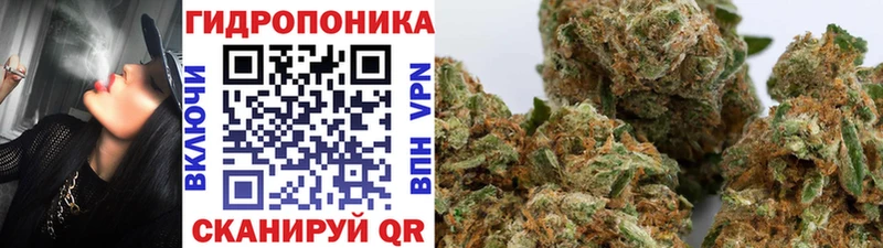 Шишки марихуана план  что такое   Серпухов 